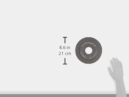 CAP Barbell Olympic 2-Inch Weight Plates Gray