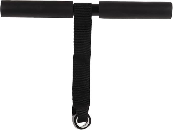 Door Sit Up Bar