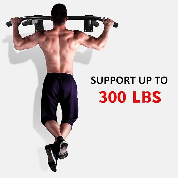 Wall Mounted Pull Up Bar