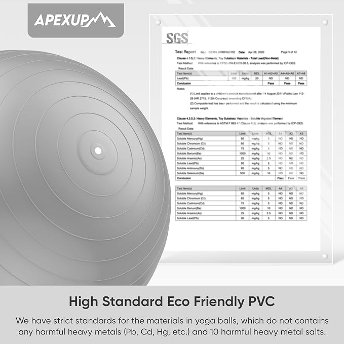 APEXUP Yoga Ball Exercise Ball
