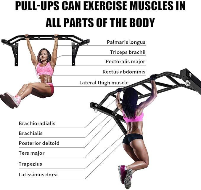 BESTHLS Wall Mounted Pull Up Bar and Dip Station 440 Lbs