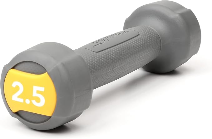 LIFE FITNESS STUDIO INDIVIDUAL GREY URETHANE 2.5LB DUMBBELL