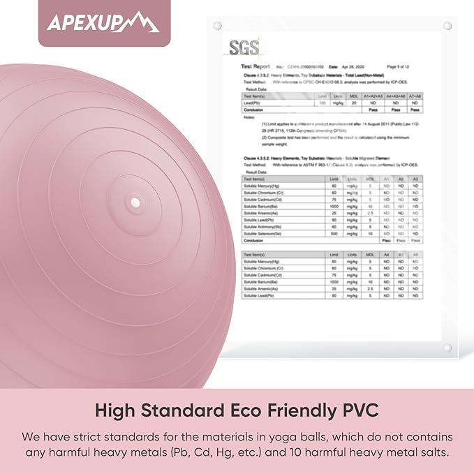 APEXUP Yoga Ball Exercise Ball