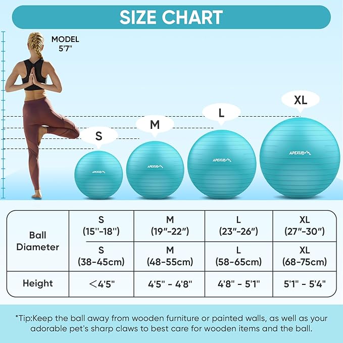 APEXUP Yoga Ball Exercise Ball