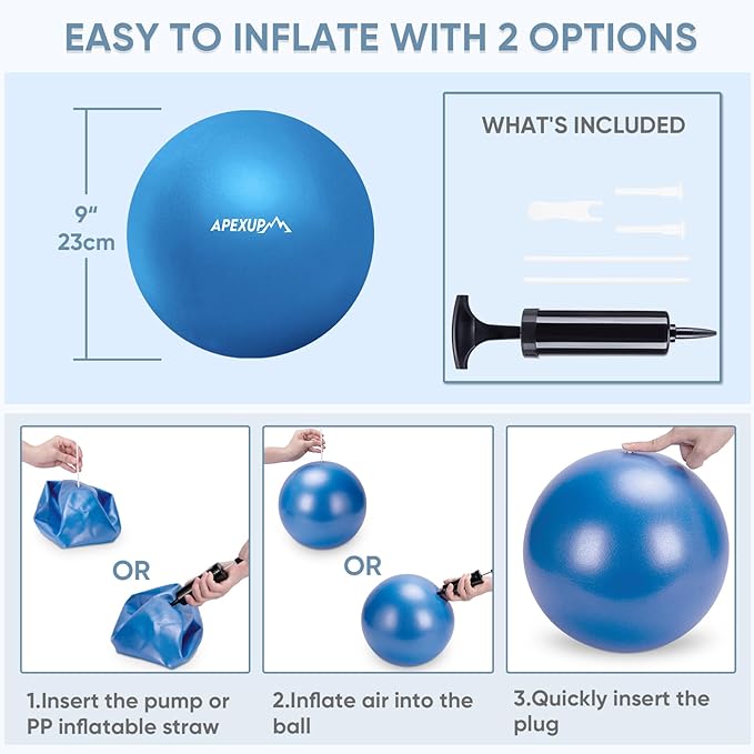 APEXUP Yoga Ball Exercise Ball