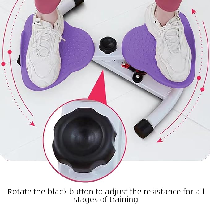 Exercise Twist Boards
