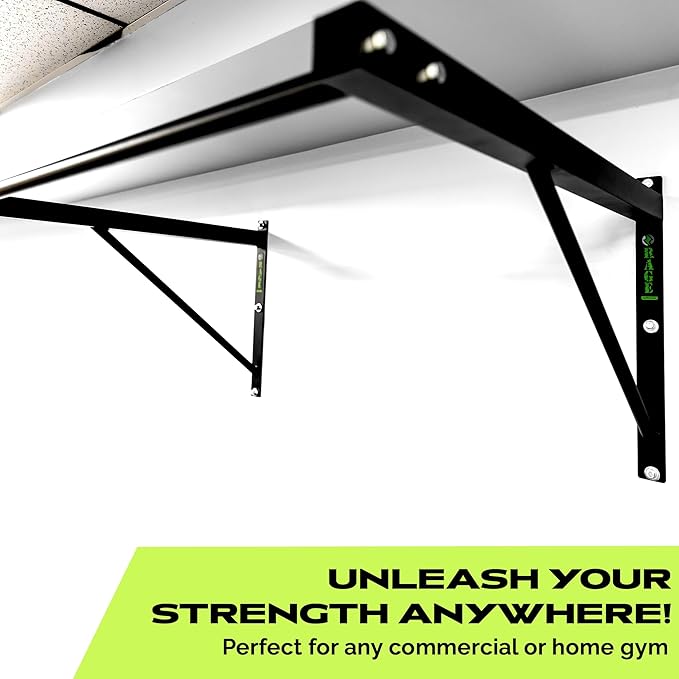 R2 Wall Mounted Pull Up Bar (500 lbs)