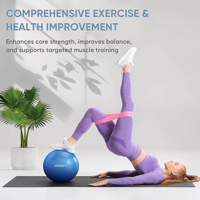 APEXUP Yoga Ball Exercise Ball