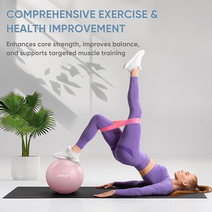 APEXUP Yoga Ball Exercise Ball