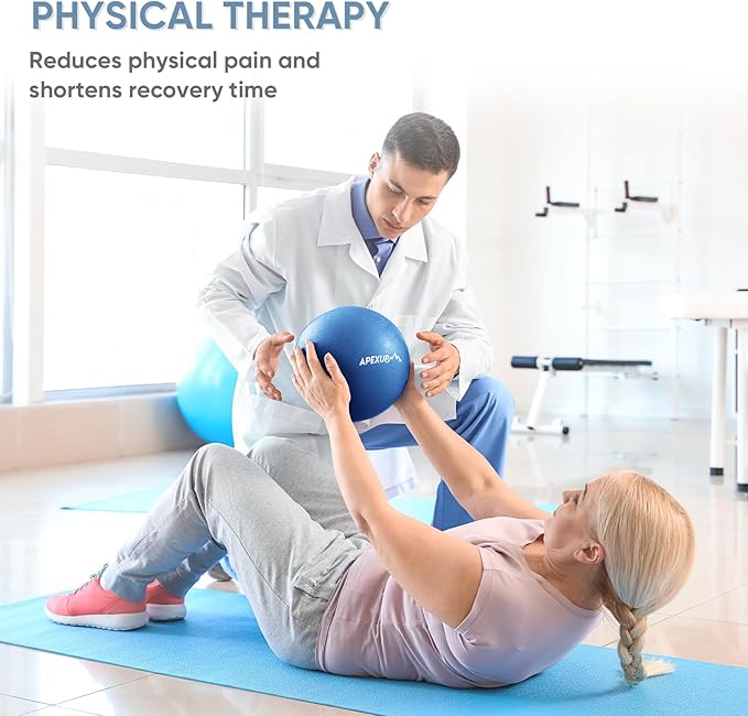 APEXUP Yoga Ball Exercise Ball