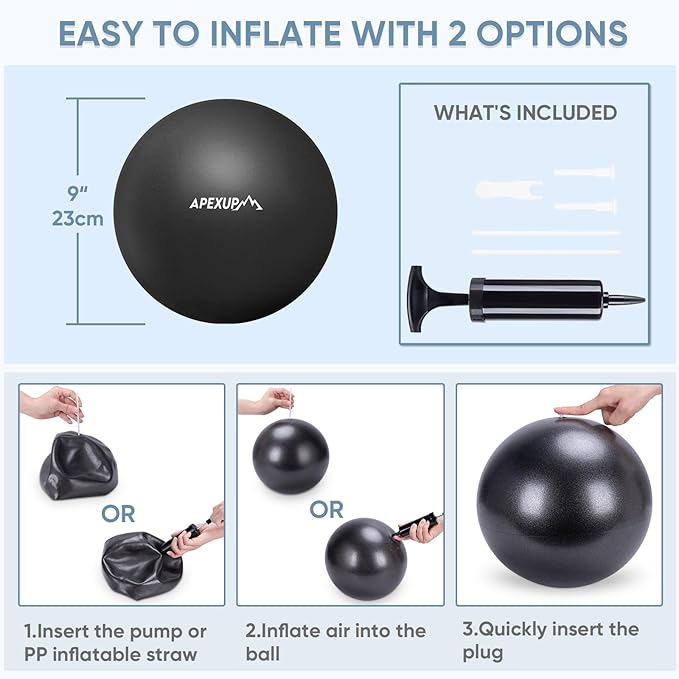 APEXUP Yoga Ball Exercise Ball