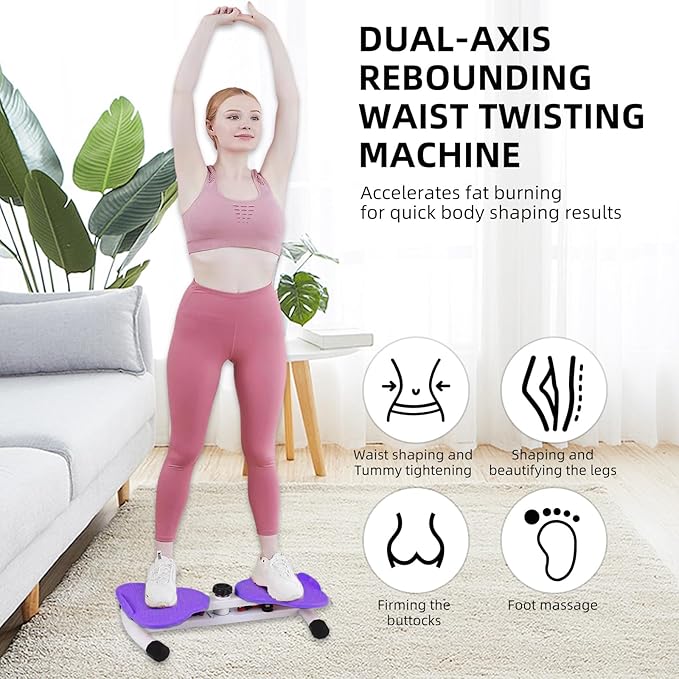Exercise Twist Boards