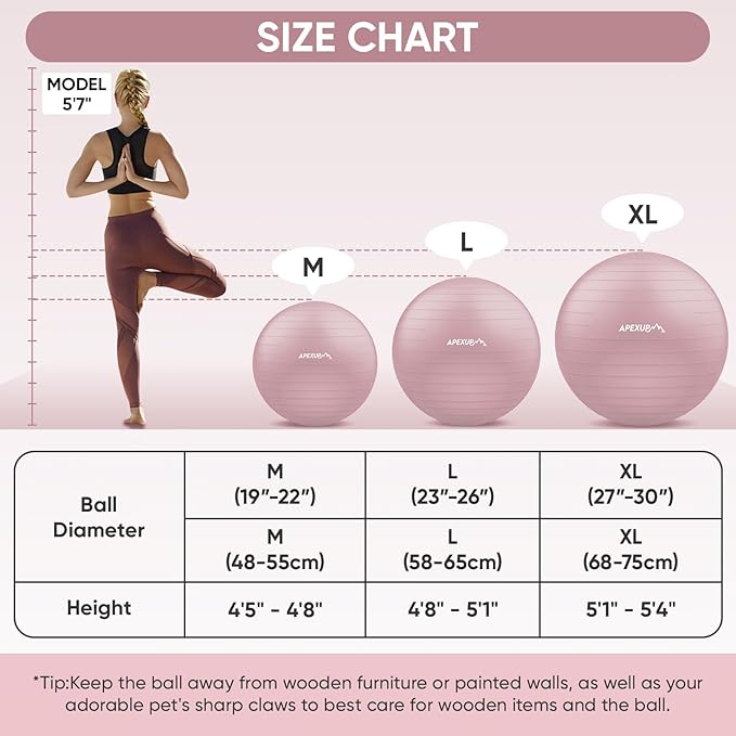 APEXUP Yoga Ball Exercise Ball