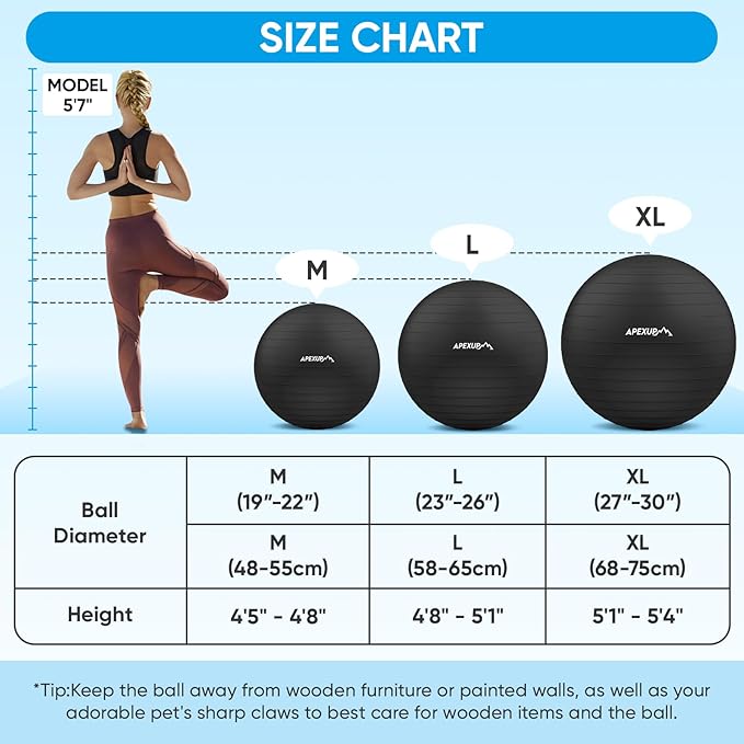 APEXUP Yoga Ball Exercise Ball