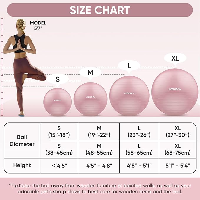 APEXUP Yoga Ball Exercise Ball