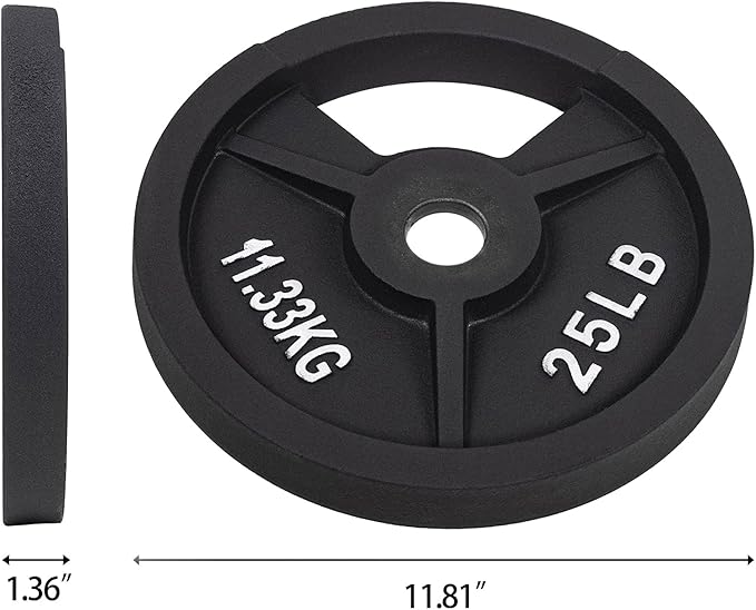 Signature Fitness Cast Iron Plate Weight Plate for Strength Training and Weightlifting, Olympic or Standard