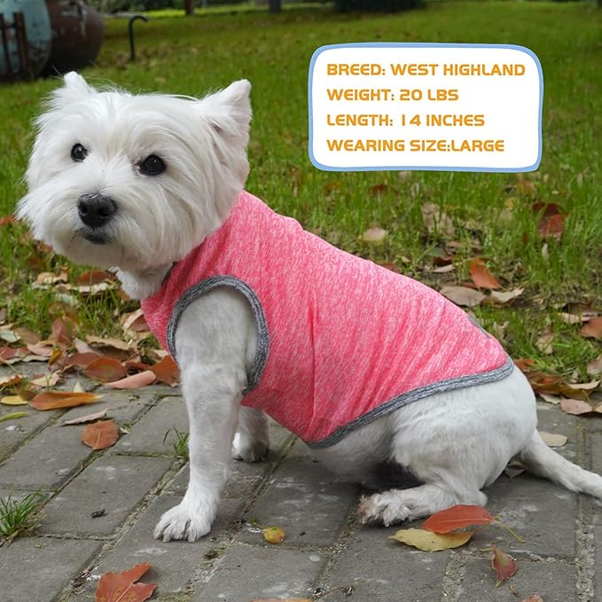 KYEESE 2 Pack Sun Protection Dog Shirts Quick Dry Soft Stretchy Pet T-Shirts Sleeveless Vest with Reflective Label Tank Top Dog Clothes for Small Dogs, Coral Red+Grey, M