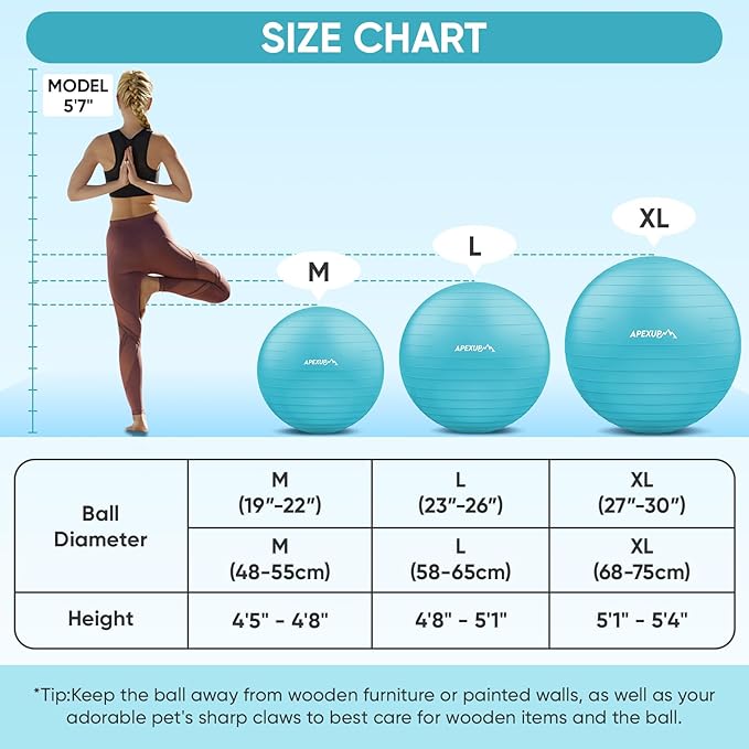 APEXUP Yoga Ball Exercise Ball