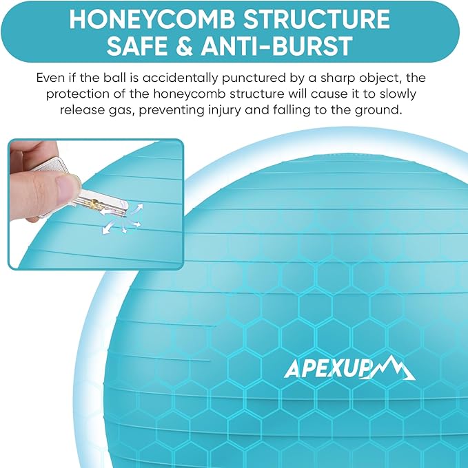APEXUP Yoga Ball Exercise Ball