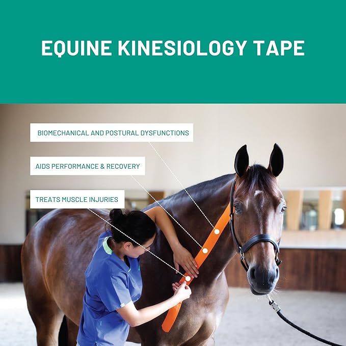 VETKIN VetkinTape Canine & Equine Kinesiology Tape | Veterinary Medical Tape | Vet Wrap for Joint Support & Pet Care | Self Adhesive Bandage Wrap | Orange | 2.4in | (Pack of 1)