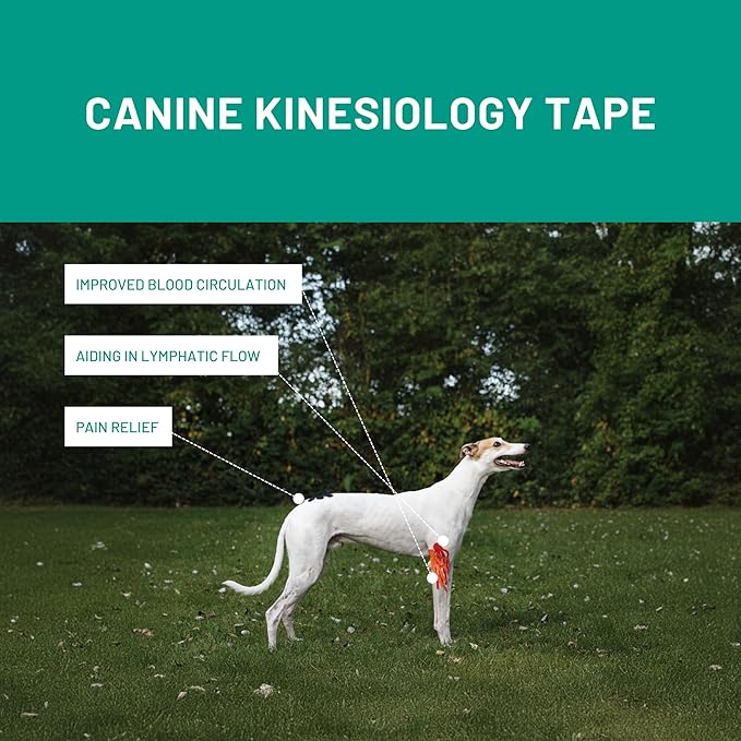 VETKIN VetkinTape Canine & Equine Kinesiology Tape | Veterinary Medical Tape | Vet Wrap for Joint Support & Pet Care | Self Adhesive Bandage Wrap | Orange | 2.4in | (Pack of 1)