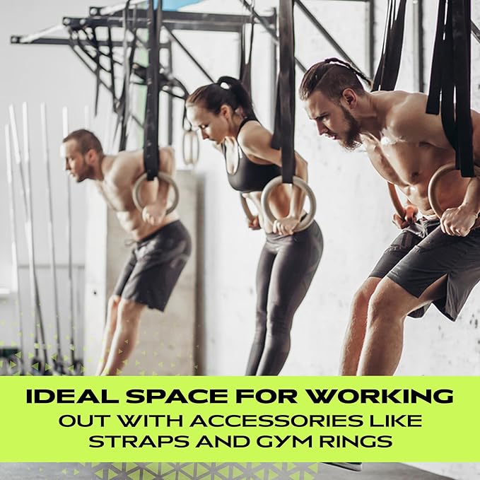 R2 Wall Mounted Pull Up Bar (500 lbs)