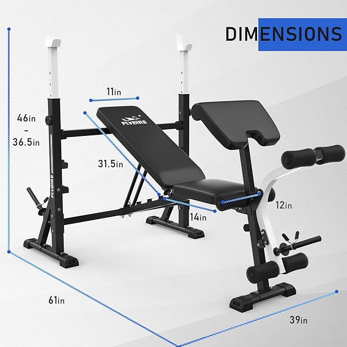 FLYBIRD Standard Weight Bench