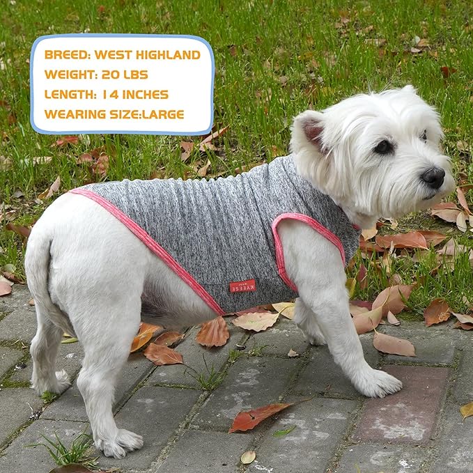 KYEESE 2 Pack Sun Protection Dog Shirts Quick Dry Soft Stretchy Pet T-Shirts Sleeveless Vest with Reflective Label Tank Top Dog Clothes for Small Dogs, Coral Red+Grey, M
