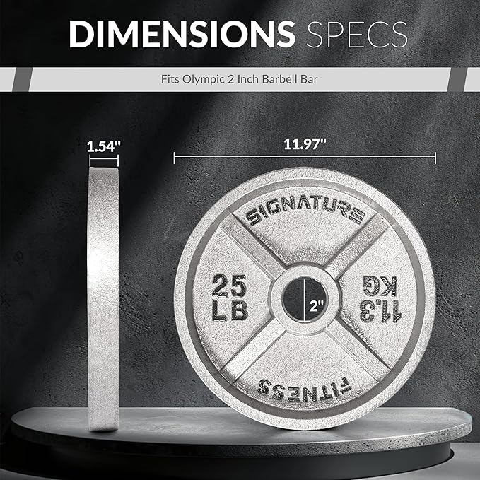 Deep Dish 2-Inch Olympic Cast Iron Weight Plates with E-Coating
