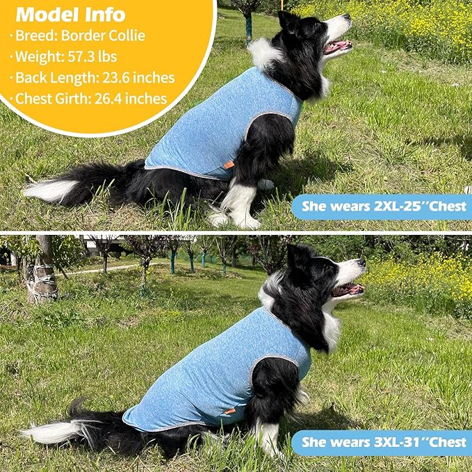 KYEESE 2 Pack Dog Shirts for Large Dogs Quick Dry Breathable Stretchy Sun Protection Pet T-Shirts with Reflective Label Tank Top Sleeveless Vest Dog Clothes, Light Blue+Grey, 3XL