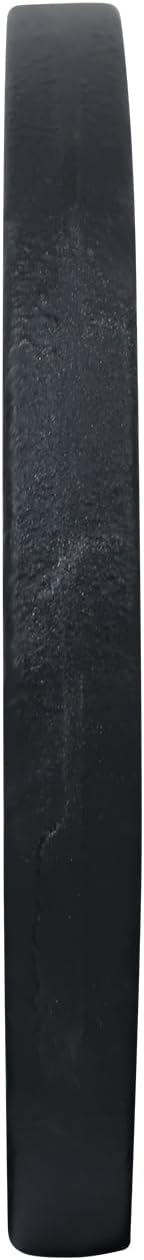 Signature Fitness Cast Iron Plate Weight Plate