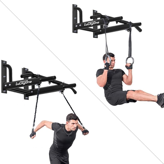 Wall Mounted Pull Up/Chin Up Bar with Bearing 440 Lbs