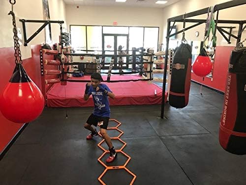 Fitness First Agility Rings