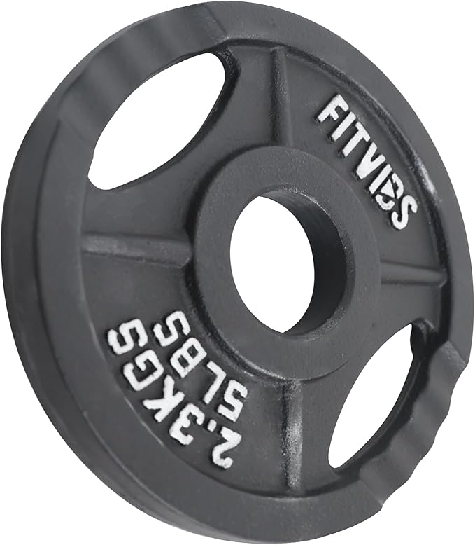 Signature Fitness Cast Iron Plate Weight Plate
