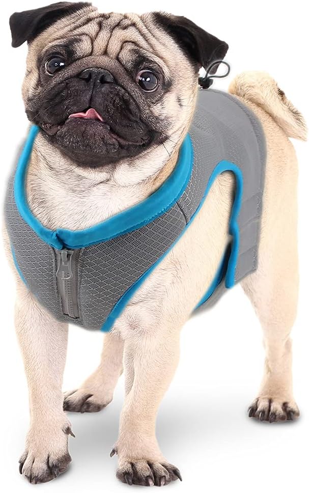 ALL FOR PAWS Cooling Vest Dog Cooling Shirts Breathable Instant Cooling Dogs Vest Lightweight for Summer Dog Clothes (L)