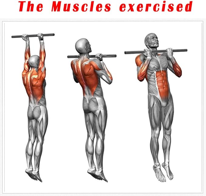 Adjustable 60~100cm / 80~130cm Pull Up Bar Chin 200KG Load