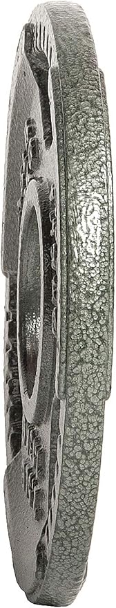 Signature Fitness Cast Iron Plate Weight Plate