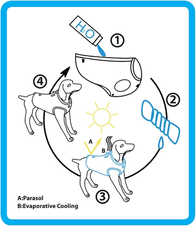 ALL FOR PAWS Dog Cooling Vest Breathable Instant Cooling Dogs Vest Lightweight for Summer Dog Clothes (XL)