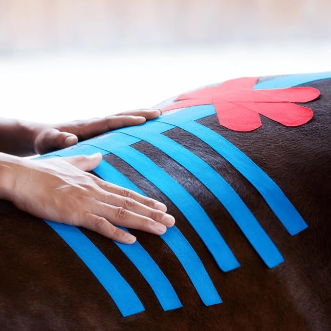 VETKIN VetkinTape Canine & Equine Kinesiology Tape | Veterinary Medical Tape | Vet Wrap for Joint Support & Pet Care | Self Adhesive Bandage Wrap | Blue | 2.4in | (Pack of 1)