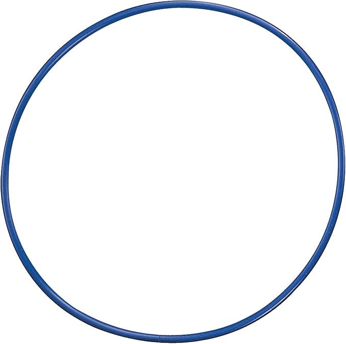 Champion Sports Diameter Plastic Hoop 24"