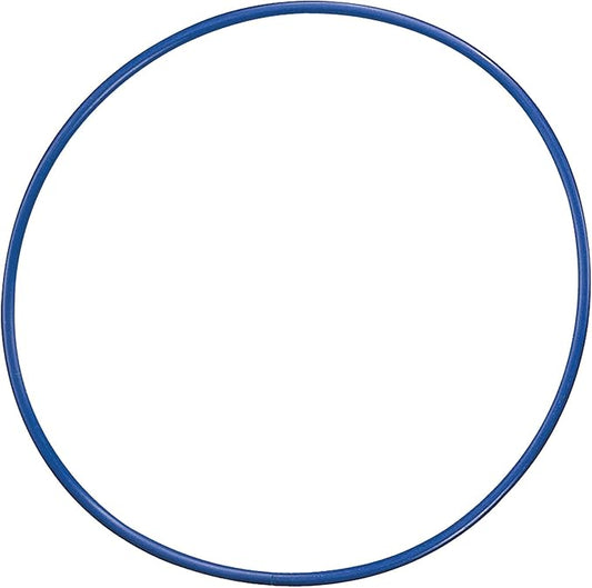 Champion Sports Diameter Plastic Hoop 24"