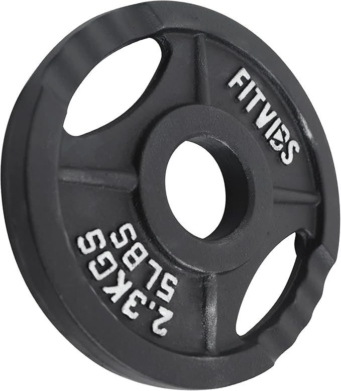 Signature Fitness Cast Iron Plate Weight Plate