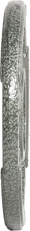 Signature Fitness Cast Iron Plate Weight Plate