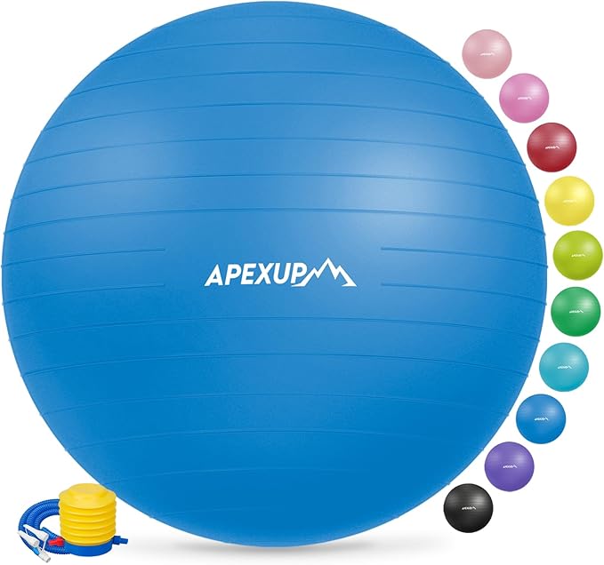 APEXUP Yoga Ball Exercise Ball