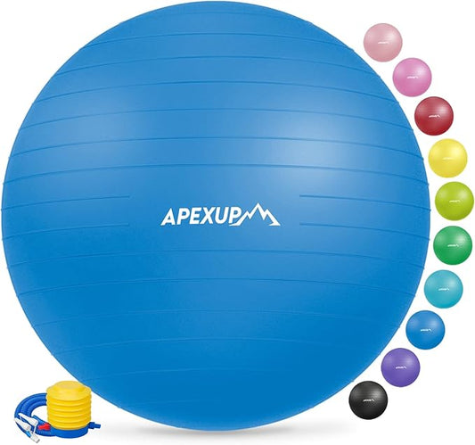 APEXUP Yoga Ball Exercise Ball
