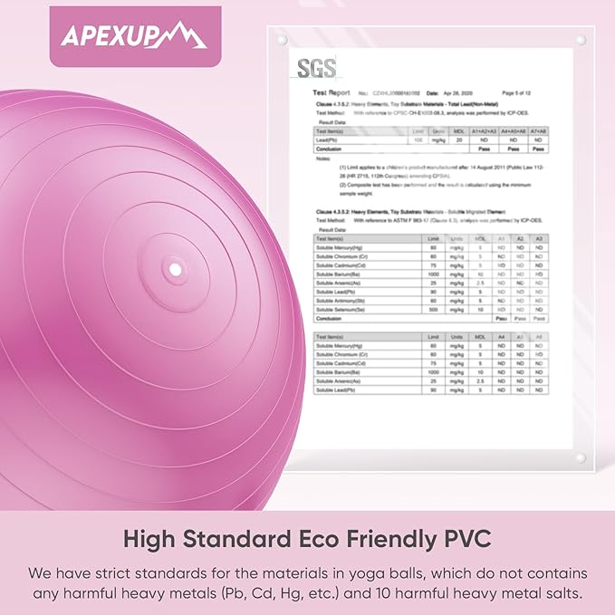 APEXUP Yoga Ball Exercise Ball