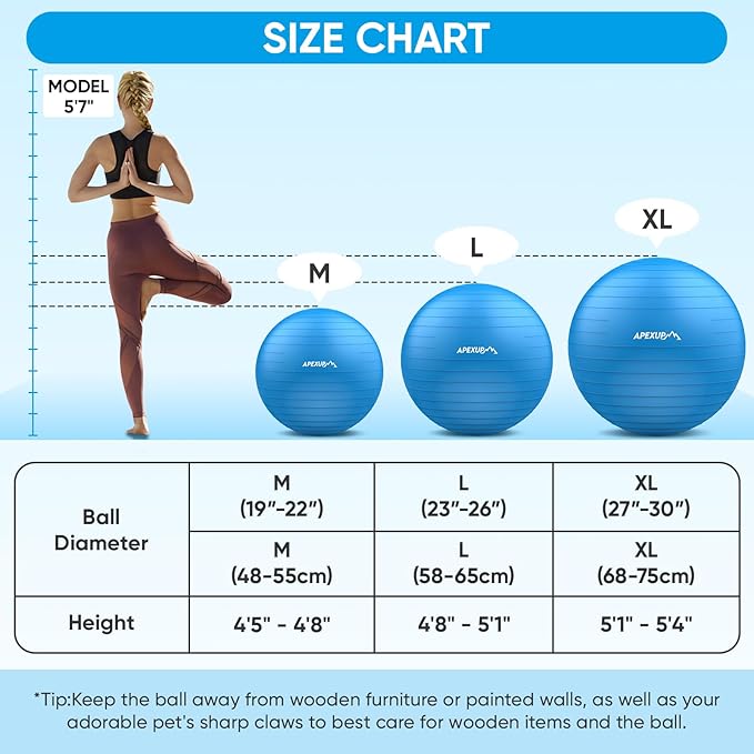 APEXUP Yoga Ball Exercise Ball