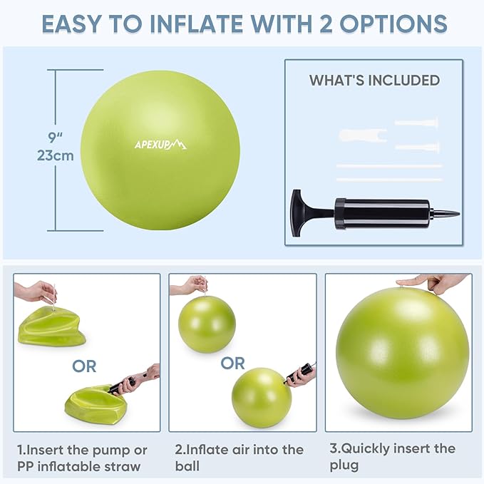 APEXUP Yoga Ball Exercise Ball