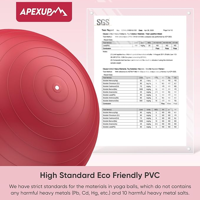 APEXUP Yoga Ball Exercise Ball