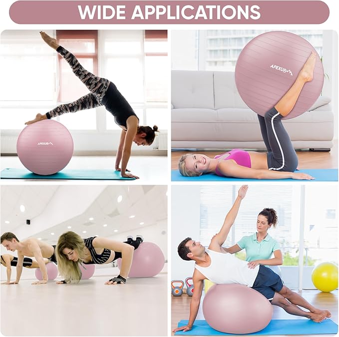 APEXUP Yoga Ball Exercise Ball